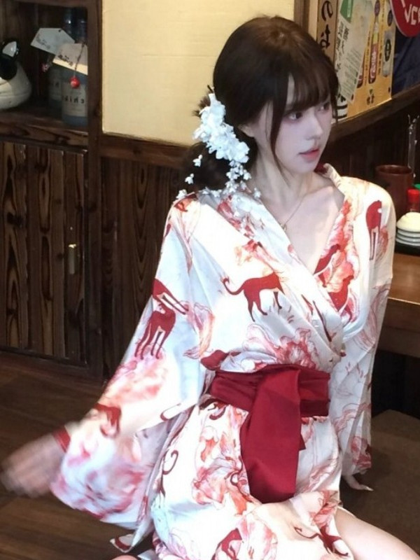 New Chinese Style Sleepwear Ha - Photography With Lighting recension och pris