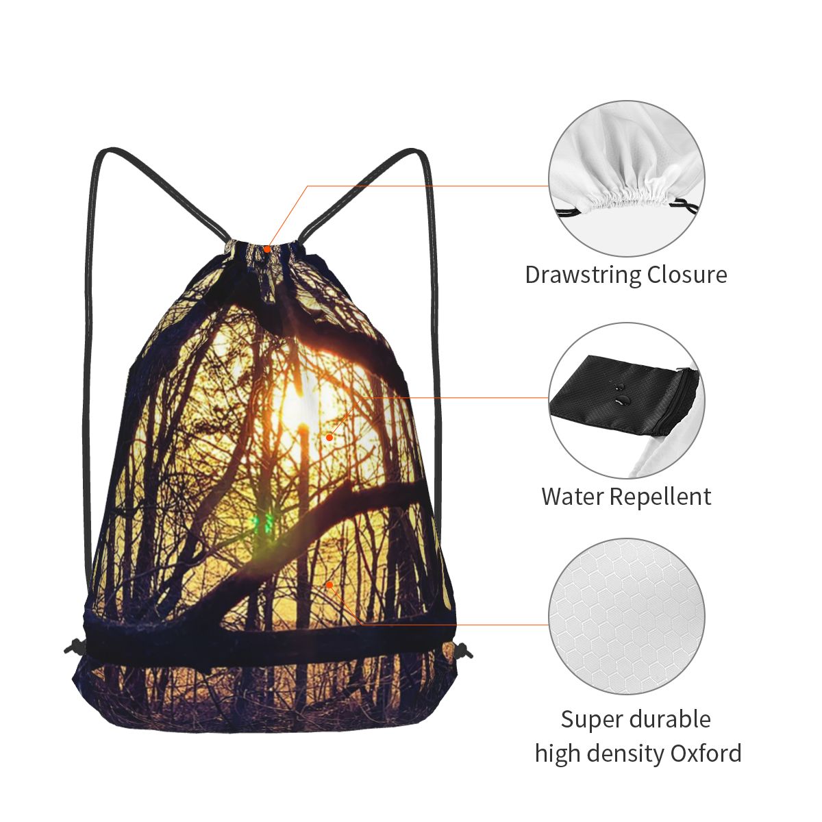 Forest Light At Sunset Nature  - Lighting In Photography Book recension och pris